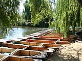 punting punting