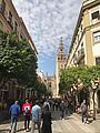 Altstadt mit Giralda Altstadt mit Giralda