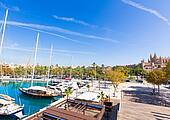 Hafen von Palma Hafen von Palma