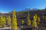 Teide Nationalpark Teide Nationalpark