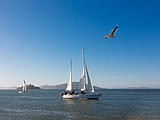 Sailing vor Alcatraz Sailing vor Alcatraz