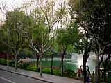 Park in Shanghai Park in Shanghai