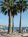 Promenade des Anglais Promenade des Anglais